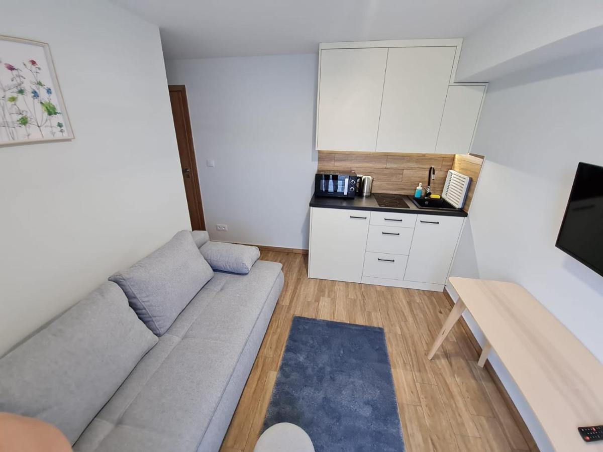 Apartament Laki18 ヴァドヴィツェ エクステリア 写真