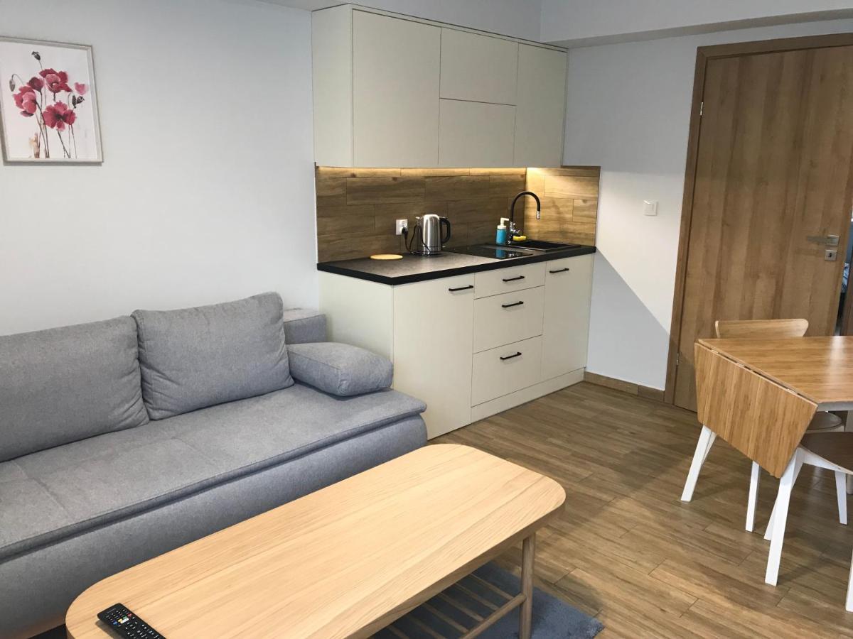 Apartament Laki18 ヴァドヴィツェ エクステリア 写真